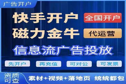 某行业SEM竞价策略的运营实践与效果
